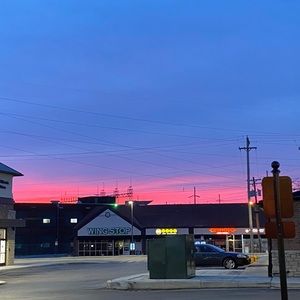 Meet your Posher, Morgan